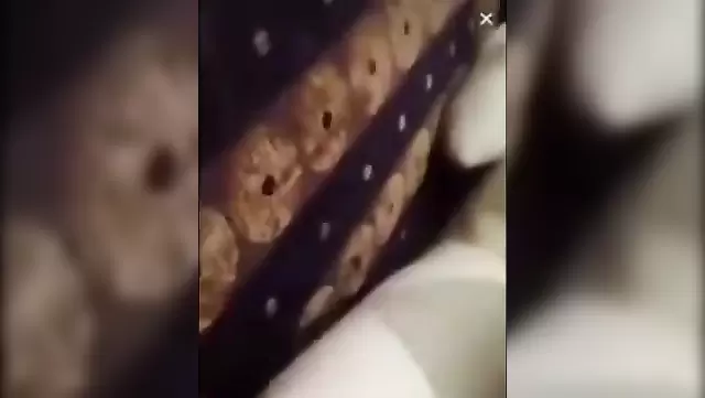 سکس واقعی زن ترک با شوهرش تو بیوگلو